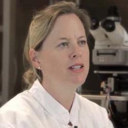 Dr. Róisín M. Owens