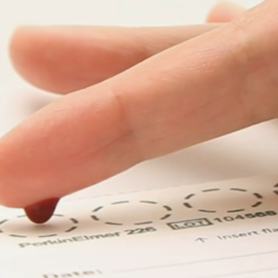finger dripping blood onto a dried blood spot card