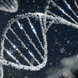 Imitating immune cells