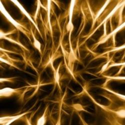 A representation of nerve cells connected in a network