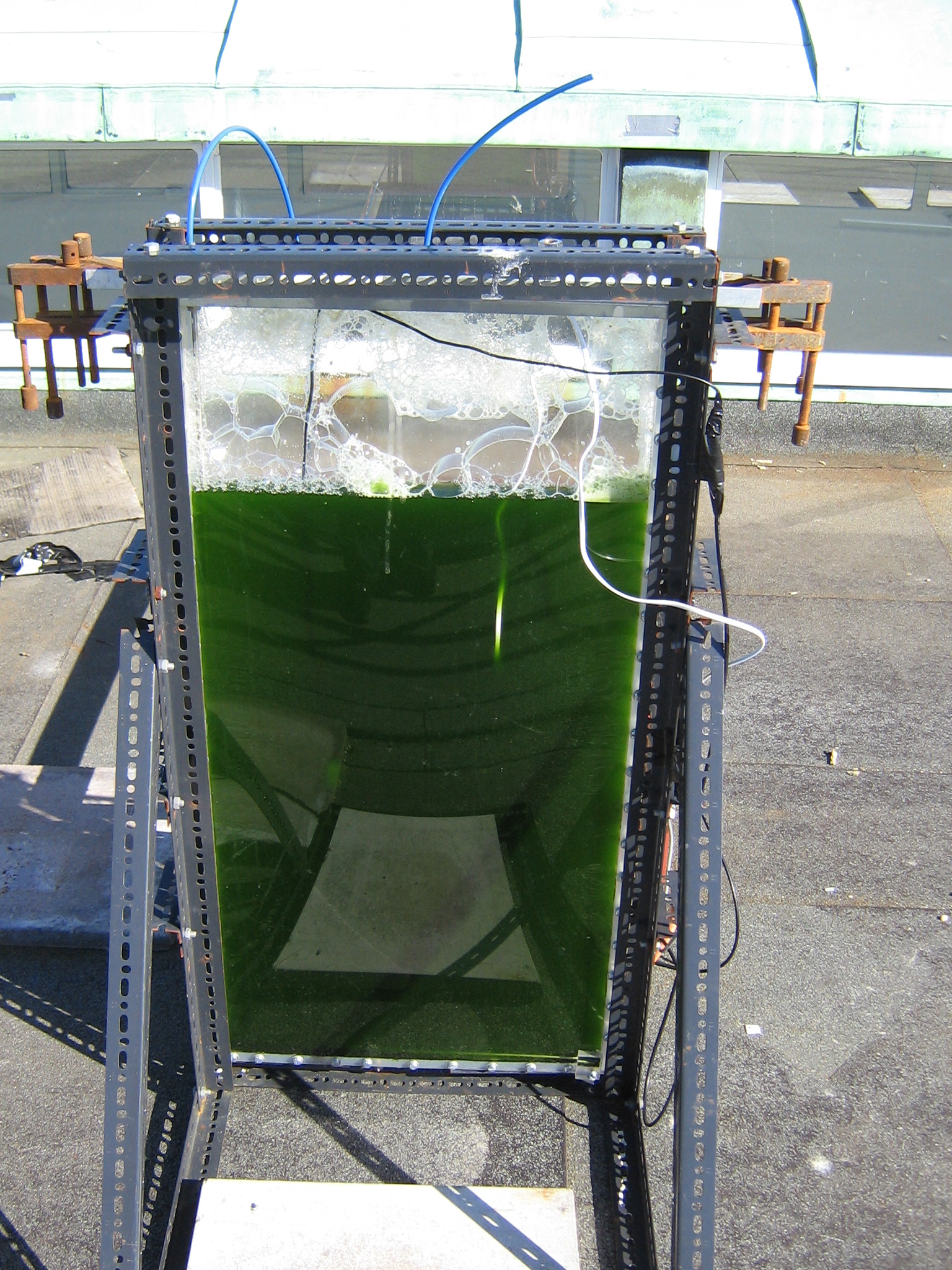 Fig. 1: Algae reactor on the roof of the Engineering Department