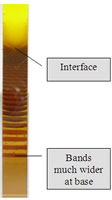 Geometrically spaced layers of precipitate in a system of K2CrO4 in solution above a gel containing AgNO3.