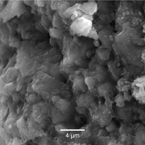 Fig. 1: SEM picture of calcined limestone