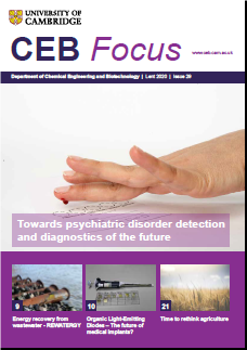 CEB Focus issue 29