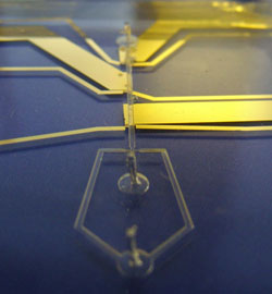  Image of a microfluidic device