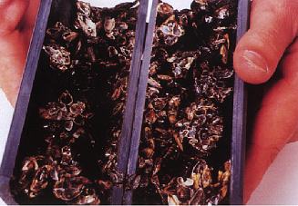 Zebra mussels can block intake pipes for water works or cooling water systems