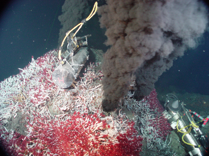 Hydrothermal vent study area with black smoker and bright red-tipped tube worms. Credit: IFE, URI-IAO, UW, Lost City Science Party; NOAA/OAR/OER; The Lost City 2005 Expedition 