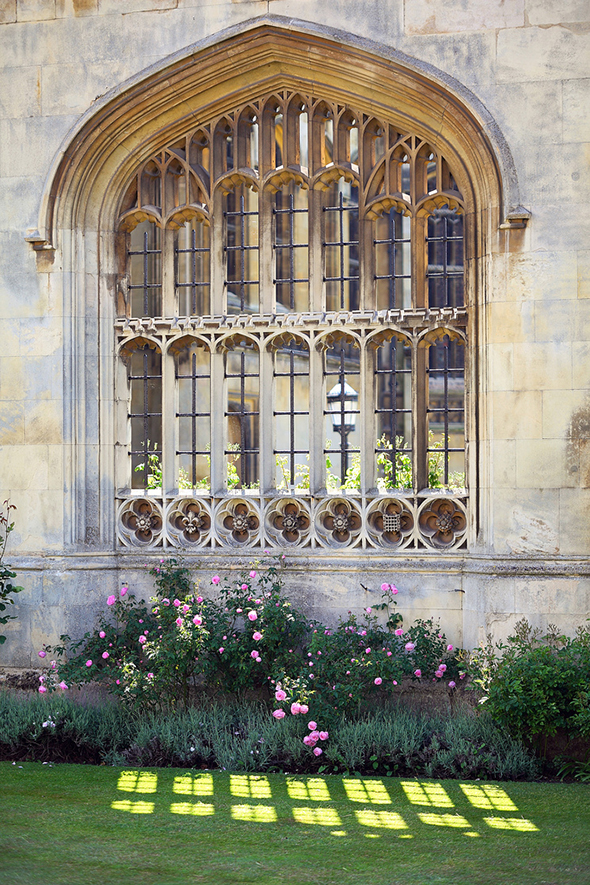 A window of King's College wall with pink flowers in a flowerbed below