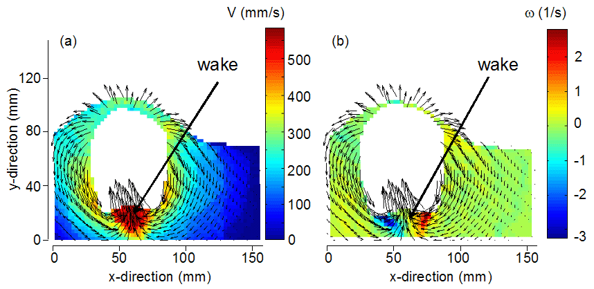 Fig. 8: Velocity and Vorticity distribution around a rising bubble in a 2D fluidized bed.