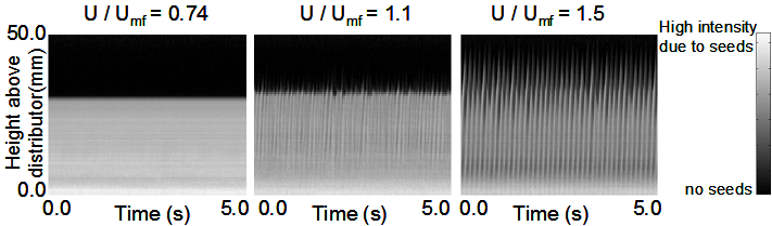 Fig. 3: Ultra-fast MRmeasurements, showing the rise of bubbles in a shallow fluidise bed.