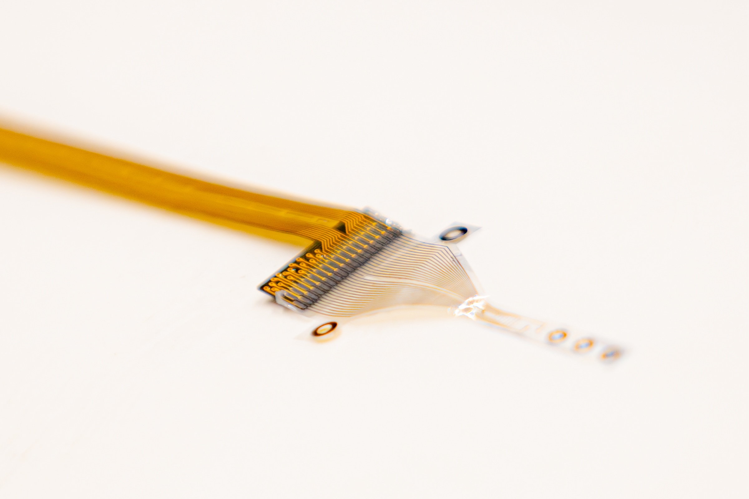 A soft, flexible electronic implant designed to measure the electrical signals in the ‘second brain in our guts’ for the first-ever time.