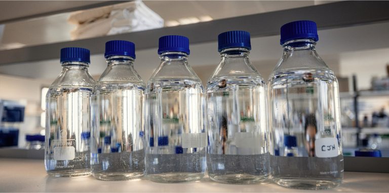 Five empty glass bottles with blue lids on shelf in lab.