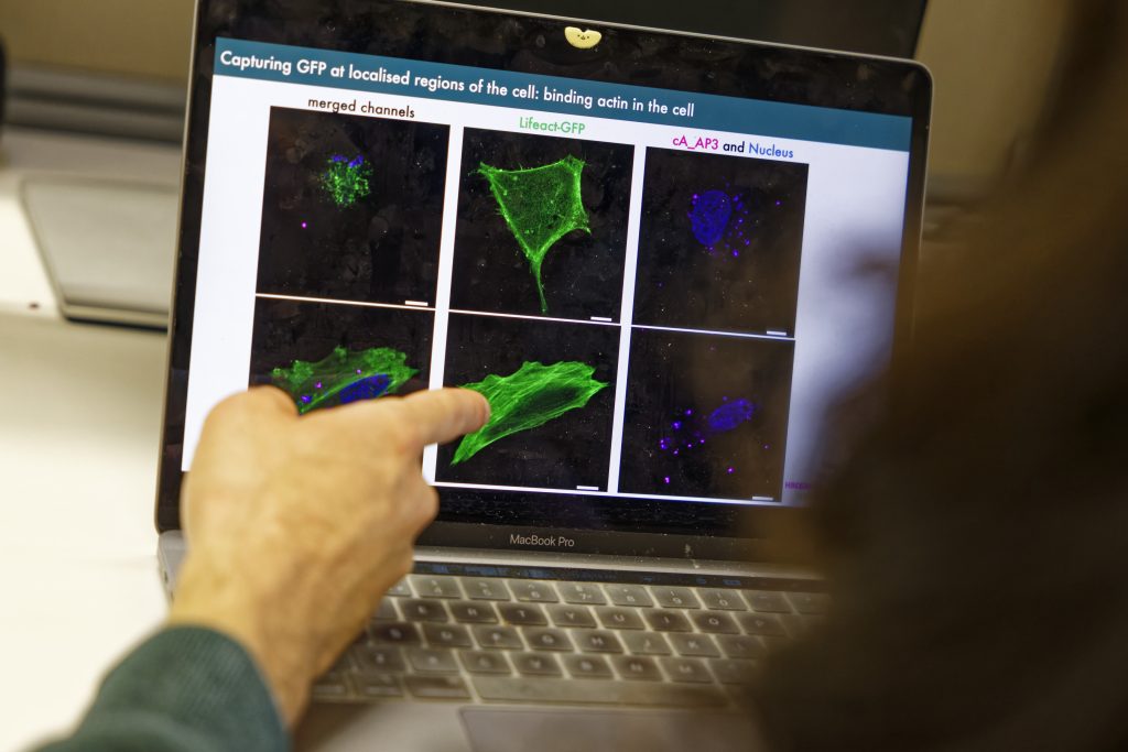 Hand pointing at graphic of science illustration on a computer screen.