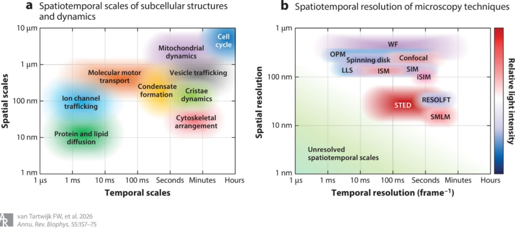 Graphic from research paper.